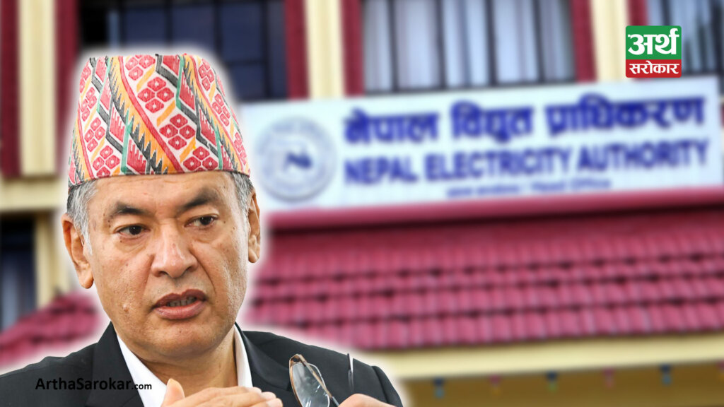 विद्युत प्राधिकरणका निर्देशकको सय दिन: के के भयो प्रगति ?